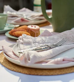 Secret Linen Store 100% Linen Napkins - Set of 4